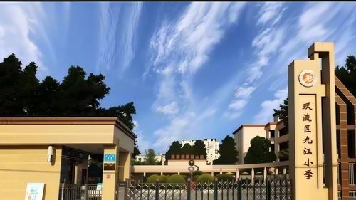 九江小学 电梯维保服务项目实景